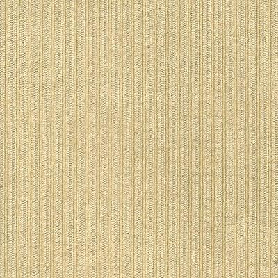 Kast Baron Ecru in Esquire and Baron Beige Drapery-Upholstery Polyester Ribbed Striped  Striped Velvet   Fabric