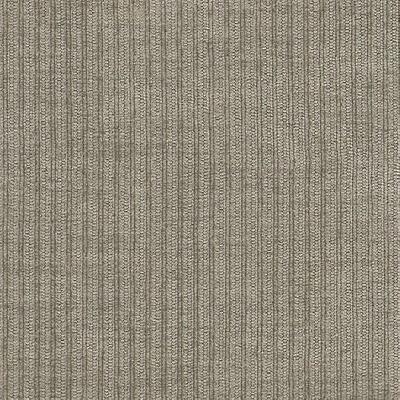Kast Baron Platinum in Esquire and Baron Grey Drapery-Upholstery Polyester Ribbed Striped  Striped Velvet   Fabric