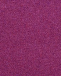 Perry Wool Geranium by  Wesco 
