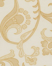 Cintello Offwhite by   