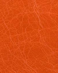 L HAUTE FLAME Leather by   