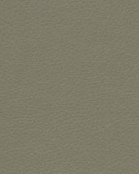 Valera 11 by  Kravet 