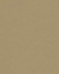 Valera 16 by  Kravet 