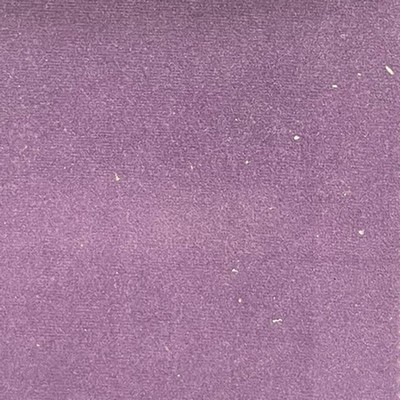 Lady Ann Fabrics Sahara Grape Sahara Velvet Purple Multipurpose Polyester Polyester Heavy Duty Solid Purple  Solid Velvet  Fabric