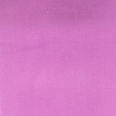 Lady Ann Fabrics Sahara Orchid Sahara Velvet Purple Multipurpose Polyester Polyester Heavy Duty Solid Purple  Solid Velvet  Fabric