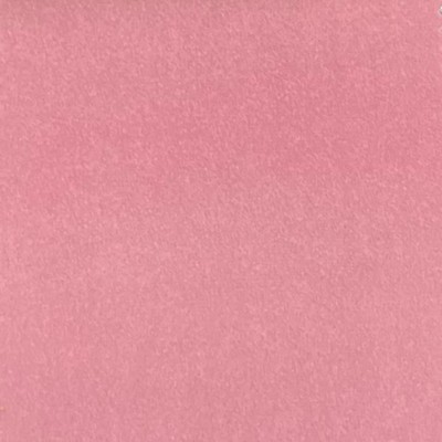 Lady Ann Fabrics Sahara Quartz Sahara Velvet Pink Multipurpose Polyester Polyester Heavy Duty Solid Pink  Solid Velvet  Fabric