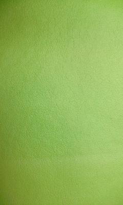 Lady Ann Fabrics Slicker Lime in City Slicker Green Upholstery Polyester  Blend Solid Green  Leather Look Vinyl 