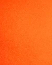 Solid Orange Fabric