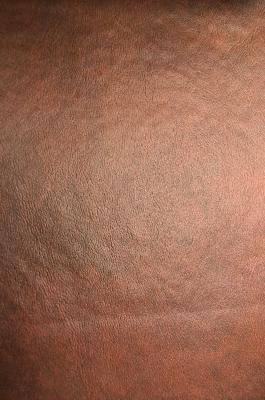 Lady Ann Fabrics Slicker Rust in City Slicker Brown Upholstery Polyester  Blend Solid Brown  Leather Look Vinyl 