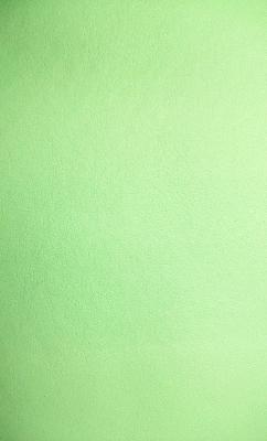 Lady Ann Fabrics Slicker Seafoam in City Slicker Green Upholstery Polyester  Blend Solid Green  Leather Look Vinyl 