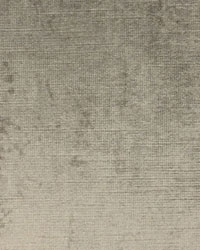 Versailles Taupe Velvet by   