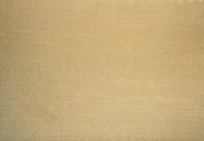 Latimer Alexander Cannes Ecru in Cannes Beige Multipurpose Cotton  Blend Fire Rated Fabric Heavy Duty Solid Beige  Solid Velvet   Fabric