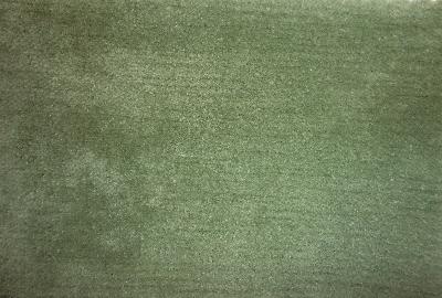 Latimer Alexander Cannes Sage in Cannes Green Multipurpose Cotton  Blend Fire Rated Fabric Heavy Duty Solid Green  Solid Velvet   Fabric