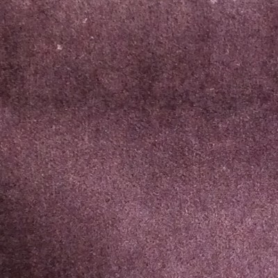 Latimer Alexander Flanders Black Plum in Flanders Purple Upholstery Cotton  Blend Fire Rated Fabric Heavy Duty Solid Color  Mohair Velvet   Fabric