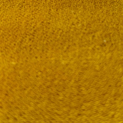 Latimer Alexander Marvel Gold Velvet in Marvel Gold Multipurpose Polyester  Blend Fire Rated Fabric Fire Retardant Velvet and Chenille  Solid Gold  Solid Velvet   Fabric