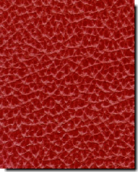 Mystique Leather                         Fabric