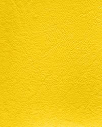 Windstar 105 Sunshine Yellow by  Futura Vinyls 