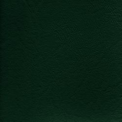 Futura Vinyls Windstar 137 Greenbay in Windstar Green Upholstery Virgin  Blend Fire Rated Fabric Solid Green  Marine and Auto Vinyl Commercial Vinyl Discount Vinyls  Fabric