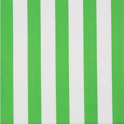 Lee Jofa Surf Stripe Palm Green in Lilly Pulitzer II Fabric Green Drapery-Upholstery Cotton Striped   Fabric