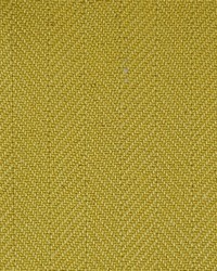 Herringbone Sprout by  Libas International 