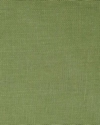 Libas International Shannon Cactus Washed Linen Fabric