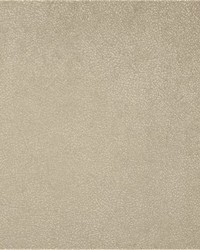 Bedrock Taupe by  Magitex 