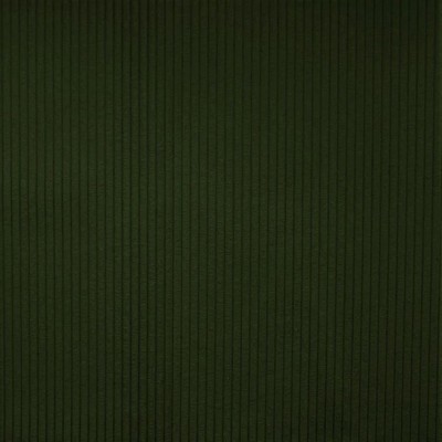 Kalahari Moss in safari Green Multipurpose Polyester  Blend Fire Rated Fabric Solid Color Corduroy  Ribbed Striped  Striped Velvet   Fabric