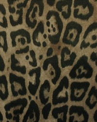 Leopard Tan by   