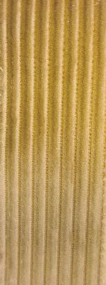 Lexus Honey in Staples - Velvet Gold Drapery-Upholstery Polyester Ribbed Striped  Striped Velvet   Fabric