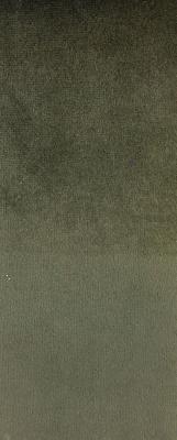 Prima Agave in Staples - Velvet Green Upholstery Polyester Solid Green  Solid Velvet   Fabric