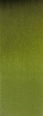 Prima Apple in Staples - Velvet Green Upholstery Polyester Solid Green  Solid Velvet   Fabric