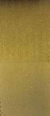 Prima Chino in Staples - Velvet Green Upholstery Polyester Solid Green  Solid Velvet   Fabric