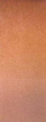Prima Clay in Staples - Velvet Orange Upholstery Polyester Solid Orange  Solid Velvet   Fabric