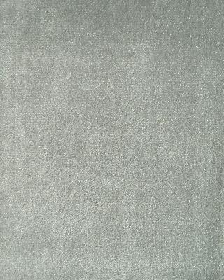 Prima Dove in Prima Velvet Grey Upholstery Polyester Solid Velvet   Fabric