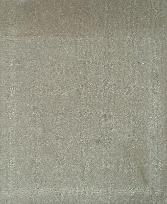Prima Driftwood in Prima Velvet Grey Upholstery Polyester Solid Velvet   Fabric