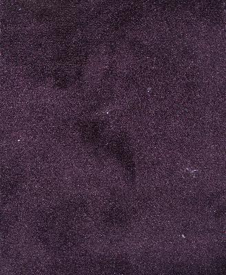 Prima Grape in Prima Velvet Purple Upholstery Polyester Solid Velvet   Fabric