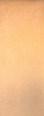 Prima Melon in Staples - Velvet Orange Upholstery Polyester Solid Orange  Solid Velvet   Fabric