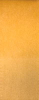 Prima Peach in Staples - Velvet Orange Upholstery Polyester Solid Orange  Solid Velvet   Fabric