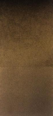 Prima Pecan in Staples - Velvet Brown Upholstery Polyester Solid Brown  Solid Velvet   Fabric