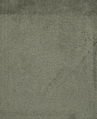 Prima Porcini in Prima Velvet Grey Upholstery Polyester Solid Velvet   Fabric