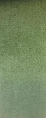 Prima Spring in Staples - Velvet Green Upholstery Polyester Solid Green  Solid Velvet   Fabric