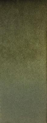 Prima Taupe in Staples - Velvet Green Upholstery Polyester Solid Green  Solid Velvet   Fabric