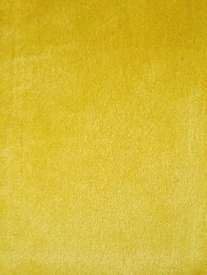 Prima Volt in Prima Velvet Yellow Upholstery Polyester Solid Velvet   Fabric
