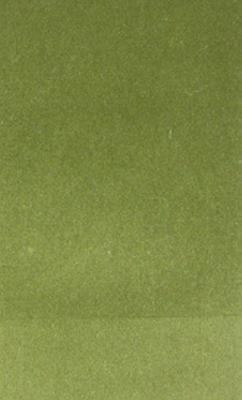 Prima Forest in Prima Velvet Green Upholstery Polyester High Wear Commercial Upholstery Solid Velvet   Fabric