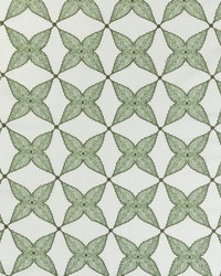 Aster Floral Green by   