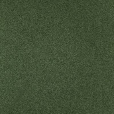 Mitchell Fabrics Tarzan Green in Book 2203 Multi-Purpose Colors Green Multipurpose Polyester Fire Rated Fabric High Performance Solid Color   Fabric