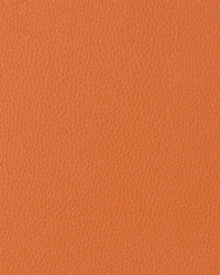 Coronado Copperpot by   