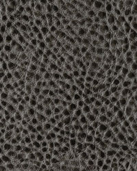 Illusion Charcoal by  Mitchell Group 