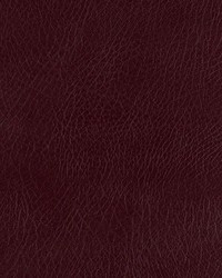 Lone Star Burgundy by   