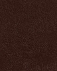 Lone Star Chestnut by   